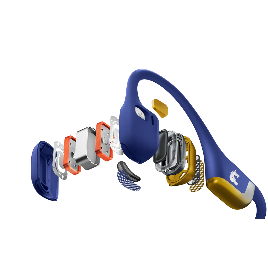 OpenRun Pro 2